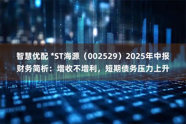 智慧优配 *ST海源（002529）2025年中报财务简析：增收不增利，短期债务压力上升