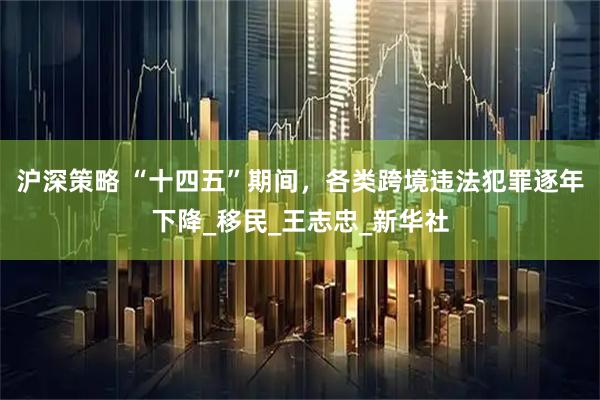 沪深策略 “十四五”期间，各类跨境违法犯罪逐年下降_移民_王志忠_新华社