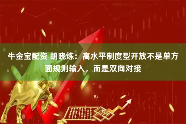 牛金宝配资 胡晓炼:高水平制度型开放不是单方面规则输入,而是双向对接