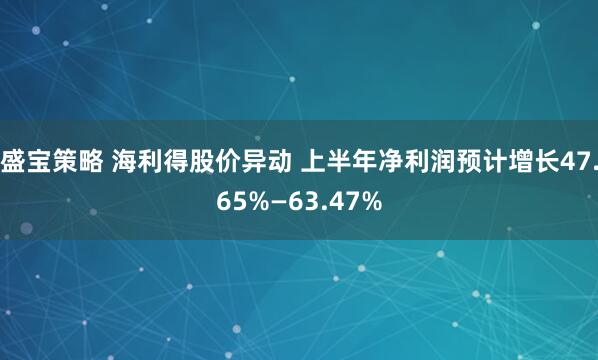 盛宝策略 海利得股价异动 上半年净利润预计增长47.65%—63.47%
